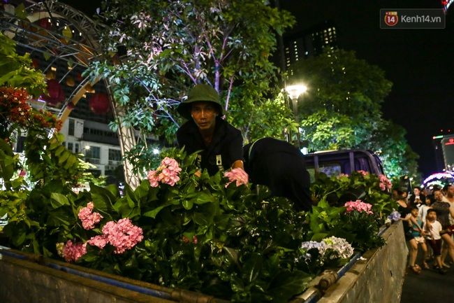 Clip: Người dân lao vào trộm bông trong lúc công nhân đang thu dọn đường hoa Nguyễn Huệ - Ảnh 7.