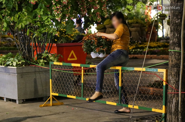 Clip: Người d&acirc;n lao v&agrave;o trộm b&ocirc;ng trong l&uacute;c c&ocirc;ng nh&acirc;n đang thu dọn đường hoa Nguyễn Huệ - Ảnh 9.