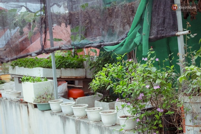 Ai bảo cứ ở trọ l&agrave; bẩn, nhiều sinh vi&ecirc;n thu&ecirc; trọ ph&ograve;ng ốc vẫn sạch tinh! - Ảnh 11.