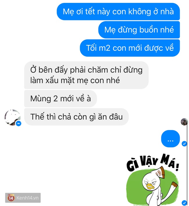 Mẹ ơi Tết đầu tiên làm dâu mới, con chẳng về phụ giúp được mẹ cha - Ảnh 14.