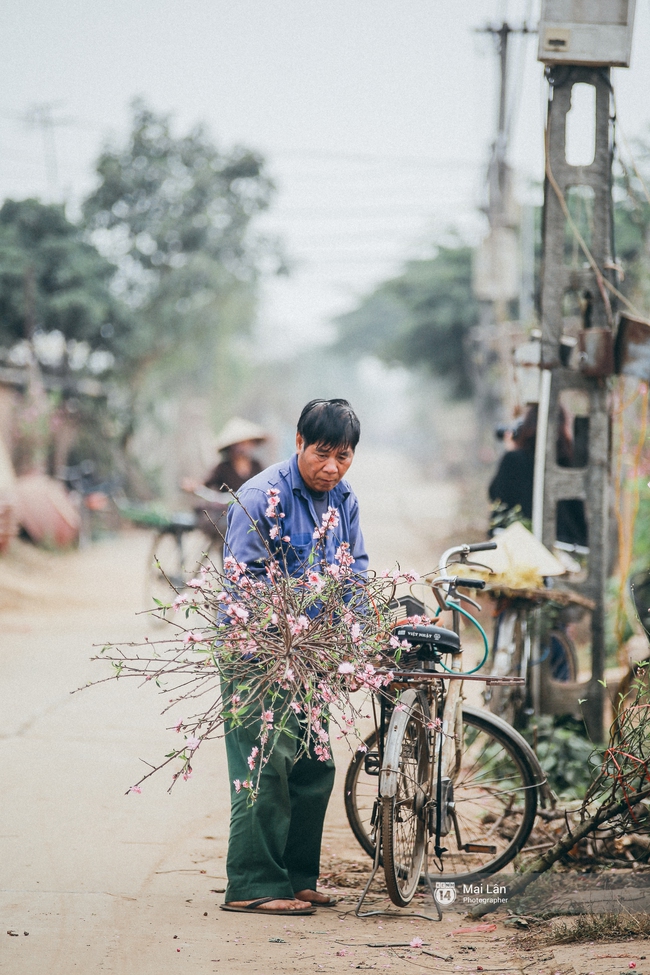 Mùa đông quá ngắn, bạn buồn vì không được mặc đồ lạnh, còn với các làng hoa ở Hà Nội - họ mất Tết! - Ảnh 10.