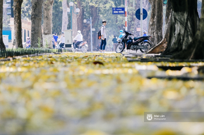 Những ng&agrave;y H&agrave; Nội rất n&oacute;ng, nhưng l&ograve;ng dịu lại v&igrave; cảnh l&aacute; rụng đẹp như m&ugrave;a thu thứ 2 - Ảnh 5.