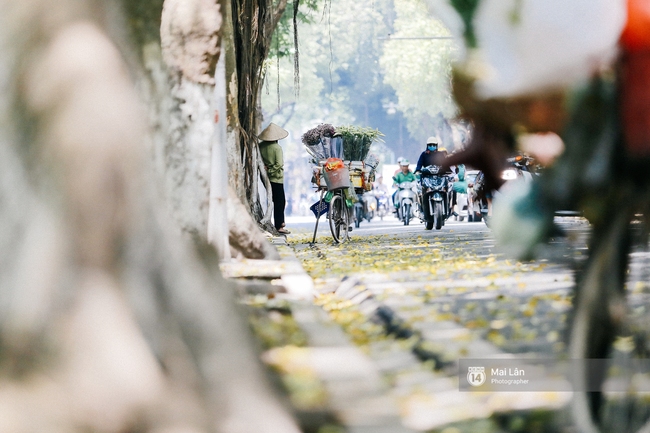 Những ng&agrave;y H&agrave; Nội rất n&oacute;ng, nhưng l&ograve;ng dịu lại v&igrave; cảnh l&aacute; rụng đẹp như m&ugrave;a thu thứ 2 - Ảnh 7.