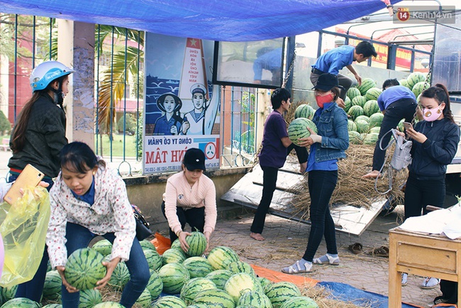 Nông dân Quảng Ngãi phải đem dưa hấu đổ cho bò ăn: Cần lắm sự chung tay giải cứu của cộng đồng - Ảnh 12.