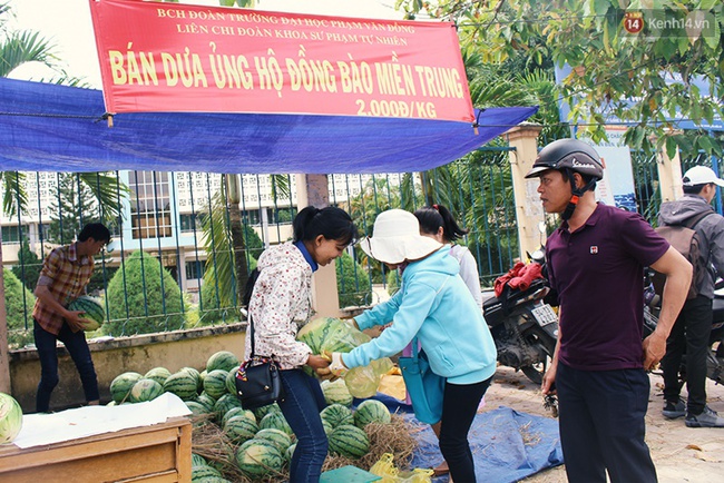 Nông dân Quảng Ngãi phải đem dưa hấu đổ cho bò ăn: Cần lắm sự chung tay giải cứu của cộng đồng - Ảnh 13.