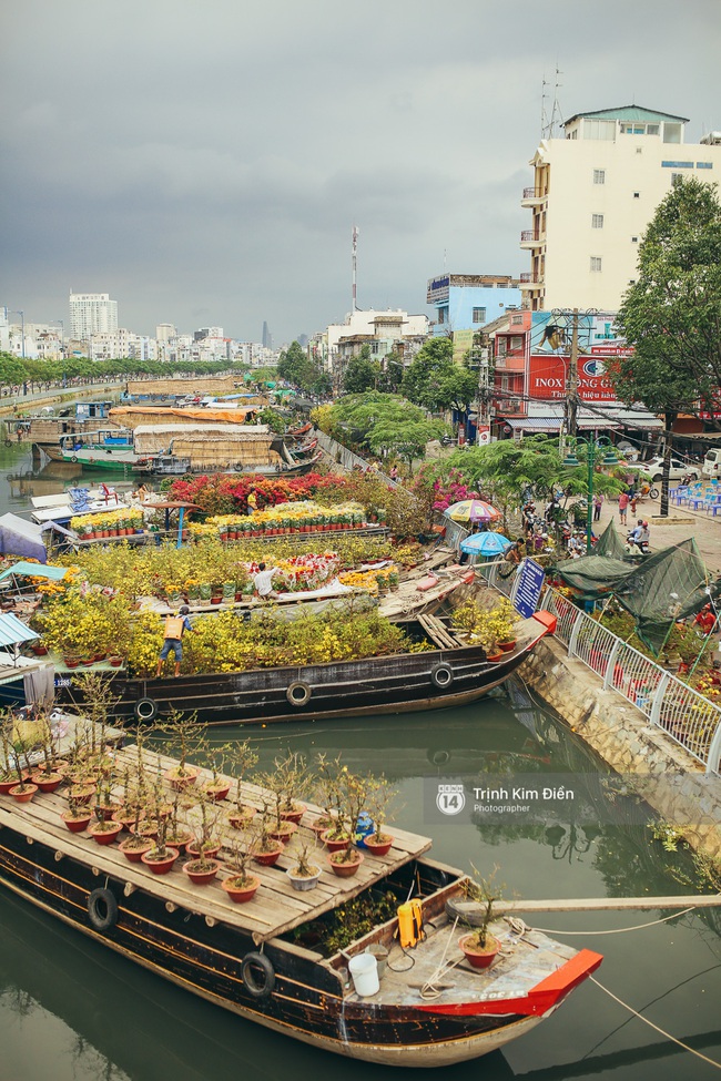 Chiều cuối năm, đừng quên ghé loạt chợ hoa xuân ở Sài Gòn để thấy Tết đang về! - Ảnh 23.