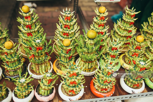 Chiều cuối năm, đừng quên ghé loạt chợ hoa xuân ở Sài Gòn để thấy Tết đang về! - Ảnh 17.