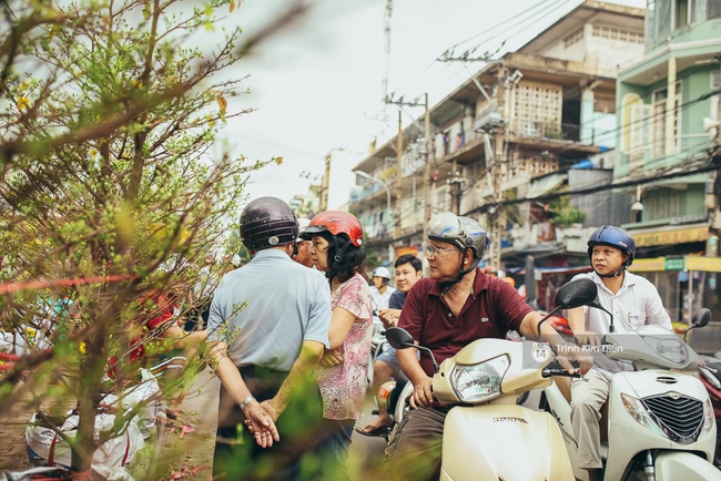 Chiều cuối năm, đừng quên ghé loạt chợ hoa xuân ở Sài Gòn để thấy Tết đang về! - Ảnh 21.