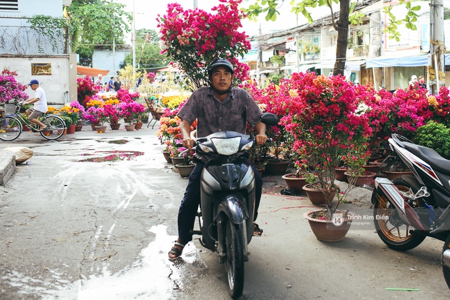 Chiều cuối năm, đừng quên ghé loạt chợ hoa xuân ở Sài Gòn để thấy Tết đang về! - Ảnh 28.