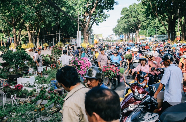 Người dân tràn ra đường mua hoa đại hạ giá chiều 30 Tết ở Sài Gòn - Ảnh 3.