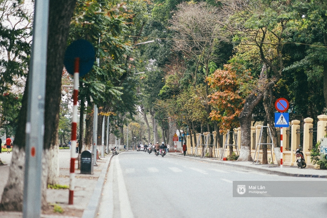 Hà Nội dịu dàng và xinh đẹp hơn trong sắc vàng của mùa cây thay lá  - Ảnh 7.