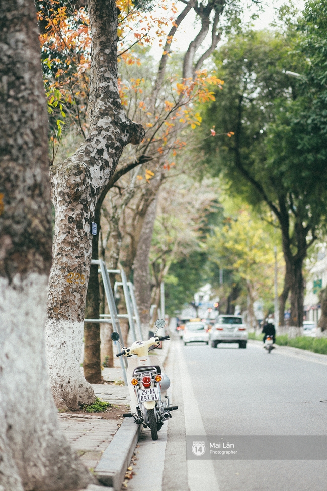 Hà Nội dịu dàng và xinh đẹp hơn trong sắc vàng của mùa cây thay lá  - Ảnh 10.