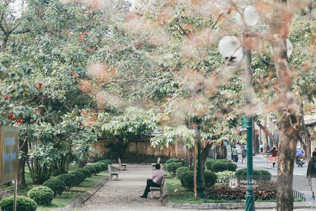 Hà Nội dịu dàng và xinh đẹp hơn trong sắc vàng của mùa cây thay lá  - Ảnh 17.