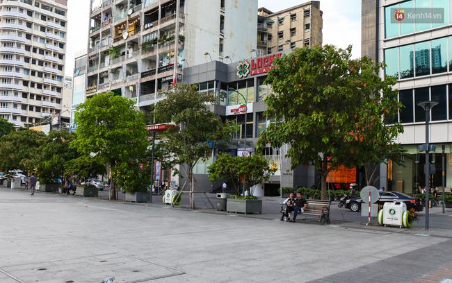 Cận cảnh th&ugrave;ng r&aacute;c th&ocirc;ng minh biết nu&ocirc;i dưỡng c&acirc;y xanh ở phố đi bộ Nguyễn Huệ - Ảnh 1.