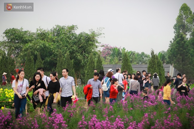 Đường ra bãi đá sông Hồng tắc dài vì dòng người chen nhau đi chụp ảnh hoa Tết - Ảnh 7.