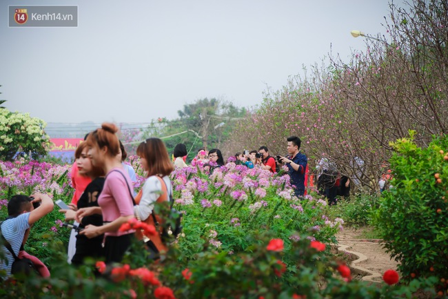 Đường ra bãi đá sông Hồng tắc dài vì dòng người chen nhau đi chụp ảnh hoa Tết - Ảnh 14.