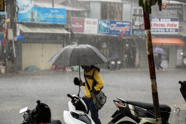 Sau cơn mưa lớn, rác thải và cá chết nổi trắng mặt hồ Xuân Hương ở Đà Lạt - Ảnh 1.