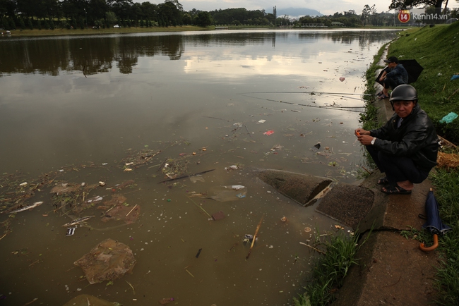 Sau cơn mưa lớn, rác thải và cá chết nổi trắng mặt hồ Xuân Hương ở Đà Lạt - Ảnh 14.