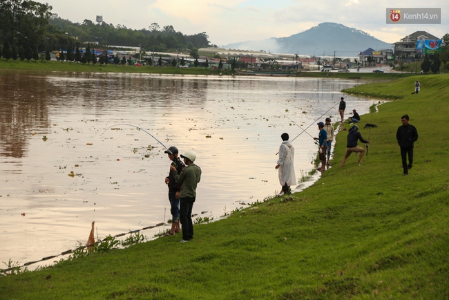 Sau cơn mưa lớn, rác thải và cá chết nổi trắng mặt hồ Xuân Hương ở Đà Lạt - Ảnh 13.