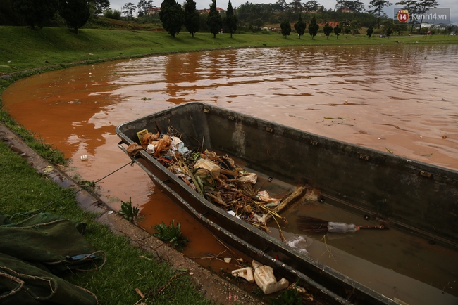 Sau cơn mưa lớn, rác thải và cá chết nổi trắng mặt hồ Xuân Hương ở Đà Lạt - Ảnh 17.