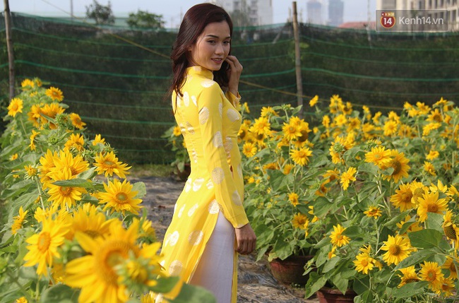 Vườn hoa hướng dương bị mất mùa, bạn trẻ Đà Nẵng kéo đến chụp ảnh và quyên góp cho chủ vườn - Ảnh 11.
