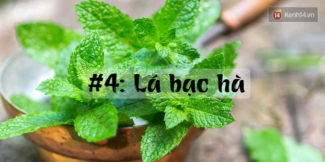 5 kiểu trị mắt th&acirc;m quầng nhanh m&agrave; cực kỳ hiệu quả - Ảnh 7.