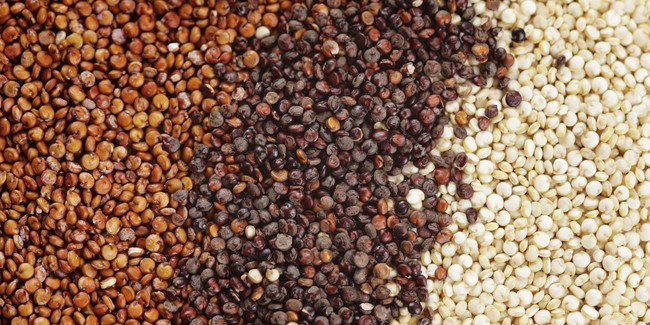 o-types-of-quinoa-facebook-1485209954847.jpg