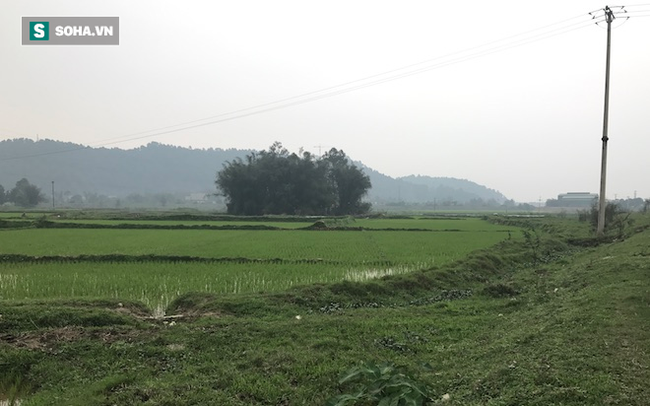  Đ&ocirc;i vợ chồng sống 50 năm trong l&ugrave;m tre ở Nghệ An: Nu&ocirc;i được mấy con g&agrave; m&agrave; kh&ocirc;ng d&aacute;m ăn - Ảnh 1.