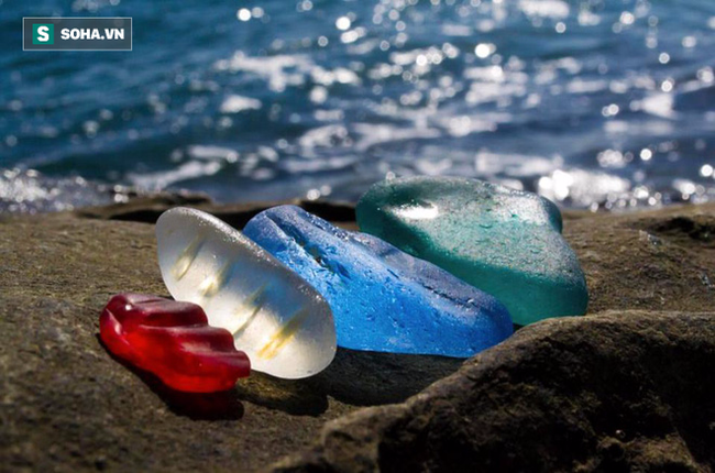 Hàng triệu mảnh thủy tinh bị vứt xuống biển, 10 năm sau điều không ai ngờ đến đã xảy ra - Ảnh 1.