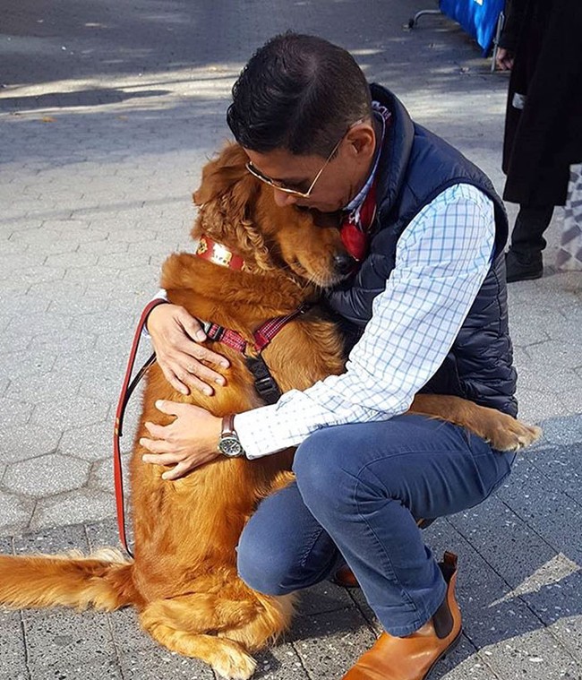 Valentine này, người yêu có thể không có, nhưng chú chó ngọt ngào như này thì nhất định phải có một em! - Ảnh 2.