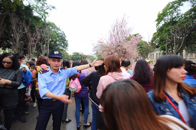 Nắng đẹp sau nhiều ngày mưa phùn, người dân Thủ đô ùn ùn kéo nhau lên phố đi bộ - Ảnh 4.