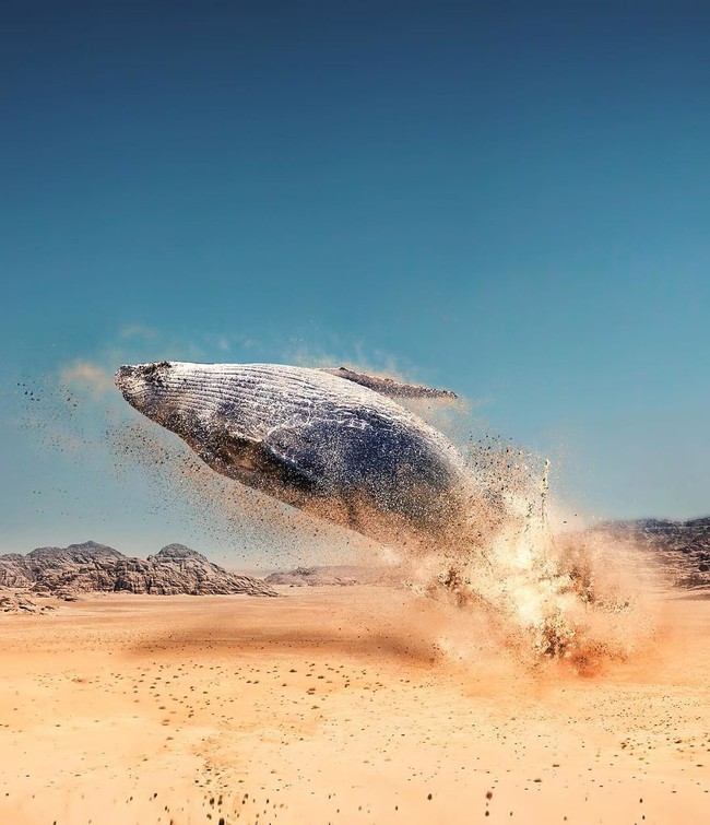 Thế giới nửa thực nửa mơ đầy ấn tượng qua bộ ảnh Photoshop diệu k&igrave; - Ảnh 6.