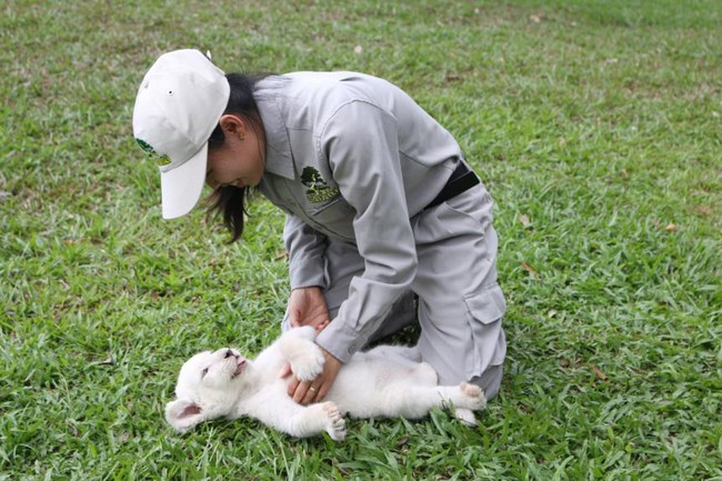 Vinpearl Safari Phú Quốc chào đón “Thế hệ F1” với nhiều cá thể quý hiếm - Ảnh 1.