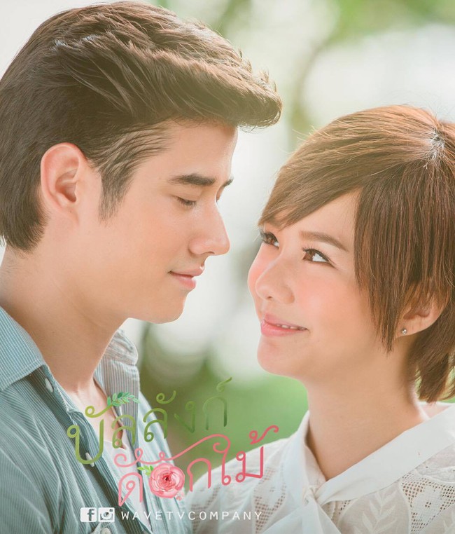 Cùng Mario Maurer nếm trải vị ngọt tình đầu trong Cậu Chủ Về Vườn - Ảnh 1.