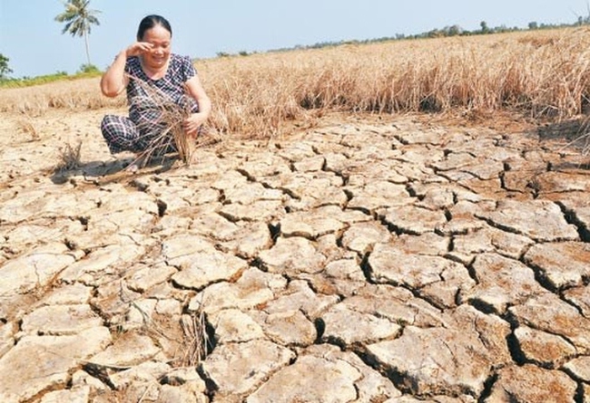 Năm 2017, Việt Nam có thể dính 15 cơn bão  - Ảnh 1.