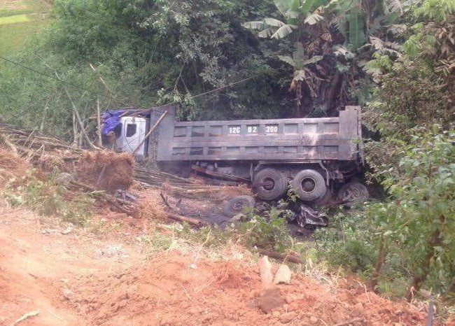 Lạng Sơn: Xe tải tông chết 9 con trâu rồi lao xuống vực, tài xế may mắn thoát nạn - Ảnh 3.