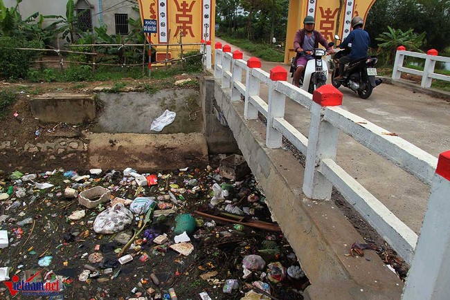Hà Nam: Khốn khổ vì xác lợn ngập tràn ngõ xóm - Ảnh 12.