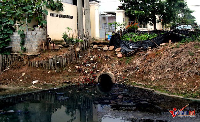 Hà Nội: Tưới rau sống bằng nước thải đen ngòm - Ảnh 8.