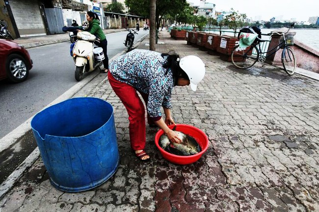 Một nh&agrave; k&eacute;o th&ugrave;ng lớn, thả cả chục c&acirc;n c&aacute; ch&eacute;p tiễn &ocirc;ng T&aacute;o - Ảnh 4.
