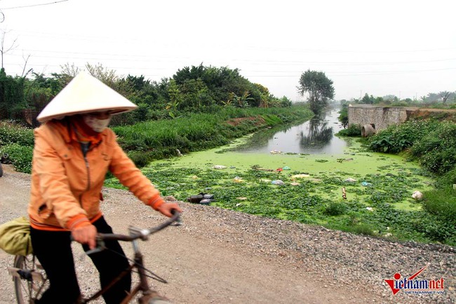 H&agrave; Nội: Tưới rau sống bằng nước thải đen ng&ograve;m - Ảnh 5.