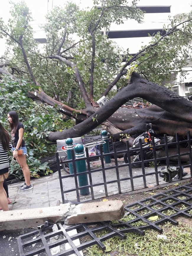 Đang đứng chờ đ&egrave;n đỏ, c&ocirc; g&aacute;i thiệt mạng v&igrave; bị cột điện rơi tr&uacute;ng người - Ảnh 4.