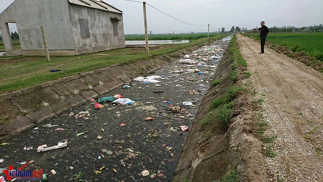 Hà Nam: Khốn khổ vì xác lợn ngập tràn ngõ xóm - Ảnh 8.