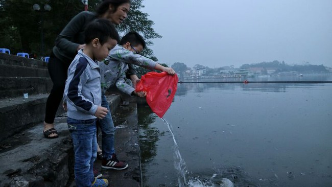 Một nh&agrave; k&eacute;o th&ugrave;ng lớn, thả cả chục c&acirc;n c&aacute; ch&eacute;p tiễn &ocirc;ng T&aacute;o - Ảnh 10.