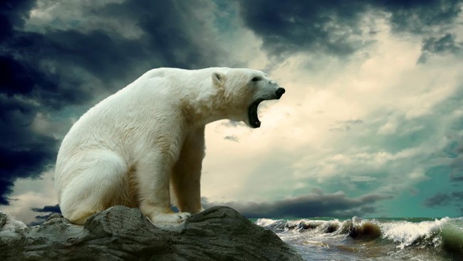 Bắc Cực đang bị phủ xanh với tốc độ khủng khiếp và đến giờ con người mới hiểu tại sao - Ảnh 4.