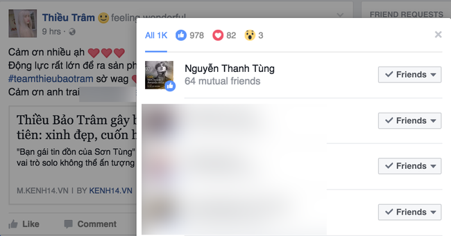 Sơn Tùng M-TP mở lại Facebook, âm thầm bấm like trạng thái Thiều Bảo Trâm - Ảnh 1.