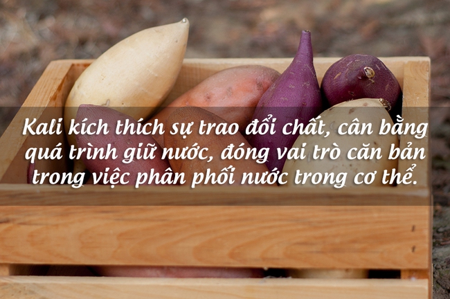 Chăm sóc đủ cách mà da “xấu vẫn hoàn xấu”, có thể bạn thiếu 4 chất sau - Ảnh 2.