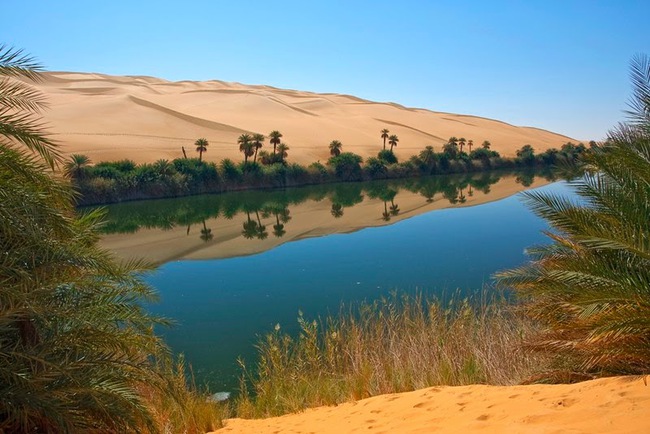 Ai mà ngờ được giữa sa mạc Sahara khô cằn lại có một nơi tràn ngập cây xanh bóng mát như thế này - Ảnh 4.