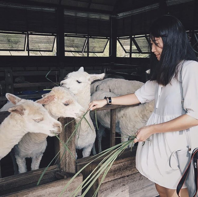 Du lịch châu Âu ở... Thái Lan, nghe kỳ kỳ mà hợp lý vô cùng - Ảnh 9.