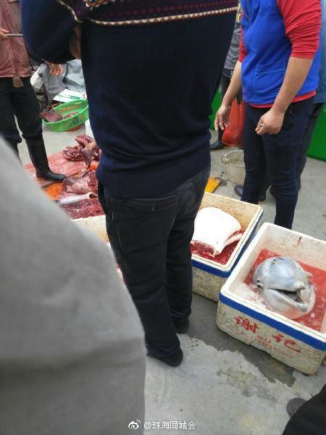Ba người đ&agrave;n &ocirc;ng đối mặt với c&aacute;o buộc h&igrave;nh sự sau khi giết mổ c&aacute; heo con qu&yacute; hiếm tr&ecirc;n đường phố - Ảnh 1.
