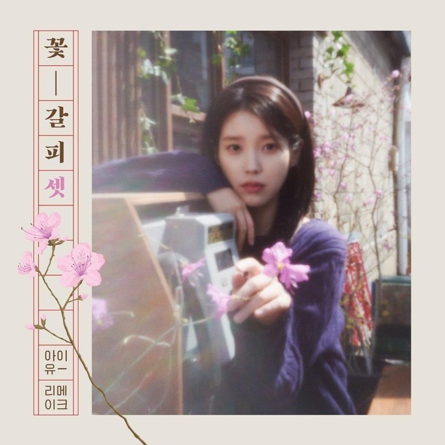 IU phát hành album remake đầu tiên sau 8 năm- Ảnh 1.